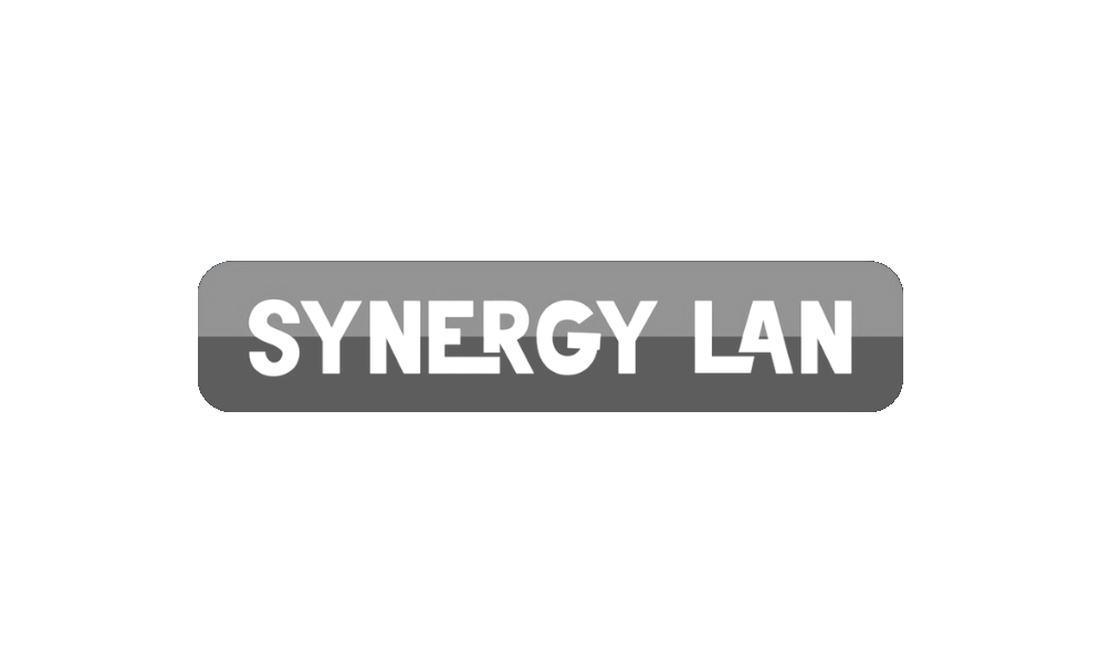 Logo Synergy Lan